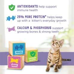 Kitten Chow Nurture Muscle & Brain Development Dry Cat Food -Furry Feast 100176 PT8. AC SS1800 V1695743594