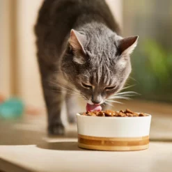 9 Lives Poultry & Beef Favorites Variety Pack Canned Cat Food -Furry Feast 100300 PT3. AC SS1800 V1682710706