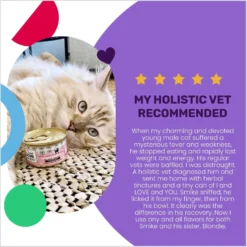 I And Love And You Savory Salmon Pate Grain-Free Canned Cat Food -Furry Feast 100750 PT3. AC SS1800 V1692390321