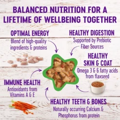 Wellness Complete Health Minced Poultry Pleasers Variety Pack Grain-Free Canned Cat Food -Furry Feast 102003 PT4. AC SS1800 V1666651198