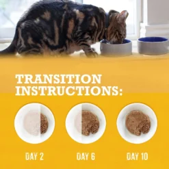 Purina Beyond Grain-Free Pate 3 Flavors Variety Pack Canned Cat Food -Furry Feast 102323 PT7. AC SS1800 V1700162608