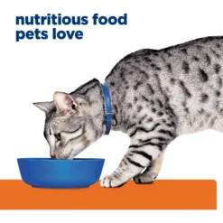 Hill's Prescription Diet C/d Multicare Stress + Metabolic Chicken Flavor Dry Cat Food -Furry Feast 106409 PT6. AC SS1800 V1675784740