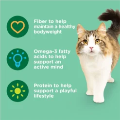 Rachael Ray Nutrish Indoor Complete Chicken With Lentils & Salmon Recipe Natural Dry Cat Food -Furry Feast 108512 PT4. AC SS1800 V1691768642