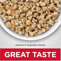 Hill's Science Diet Adult Sensitive Stomach & Skin Chicken & Vegetable Entrée Canned Cat Food -Furry Feast 109206 PT2. AC SS1800 V1609381365