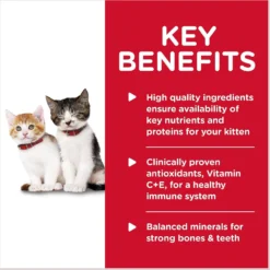 Hill's Science Diet Kitten Savory Salmon Entree Canned Cat Food -Furry Feast 110296 PT3. AC SS1800 V1598157108