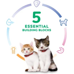 Hill's Science Diet Kitten Liver & Chicken Entree Canned Cat Food -Furry Feast 110297 PT4. AC SS1800 V1690565351