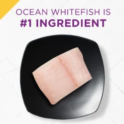 Purina Pro Plan Prime Plus Adult 7+ Ocean Whitefish & Salmon Entree Classic Canned Cat Food -Furry Feast 111105 PT4. AC SS1800 V1636670493