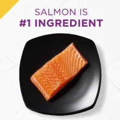 Purina Pro Plan Prime Plus Adult 7+ Salmon & Tuna Entree Classic Canned Cat Food, 3-oz Can, Case Of 24 -Furry Feast 111107 PT2. AC SS1800 V1585863093