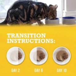 Purina Beyond Grain-Free Natural Pate Chicken & Sweet Potato Recipe Wet Cat Food -Furry Feast 112040 PT8. AC SS1800 V1700157506