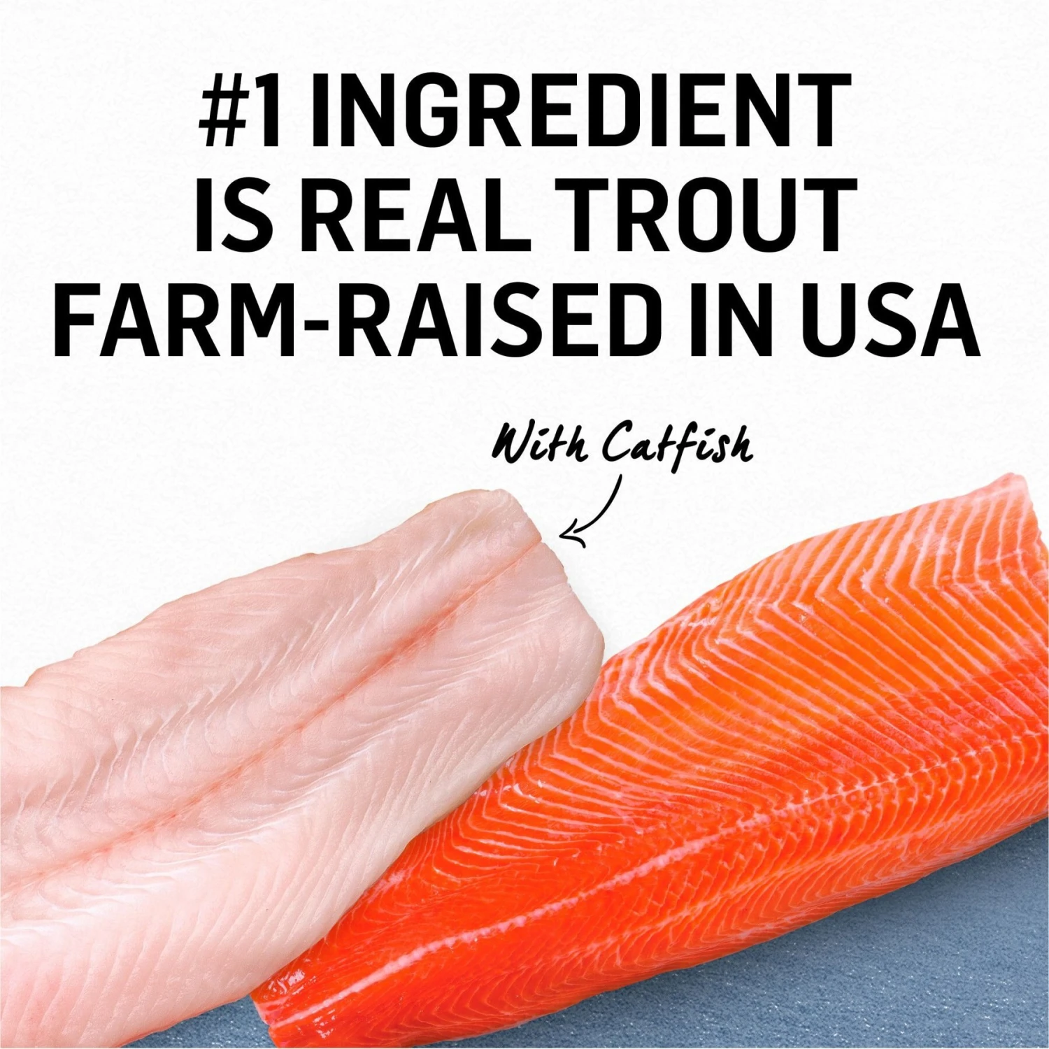 Purina Beyond Grain-Free Trout & Catfish Pate Recipe Canned Cat Food 4 Purina Beyond Grain-Free Trout & Catfish Pate Recipe Canned Cat Food - Image 4