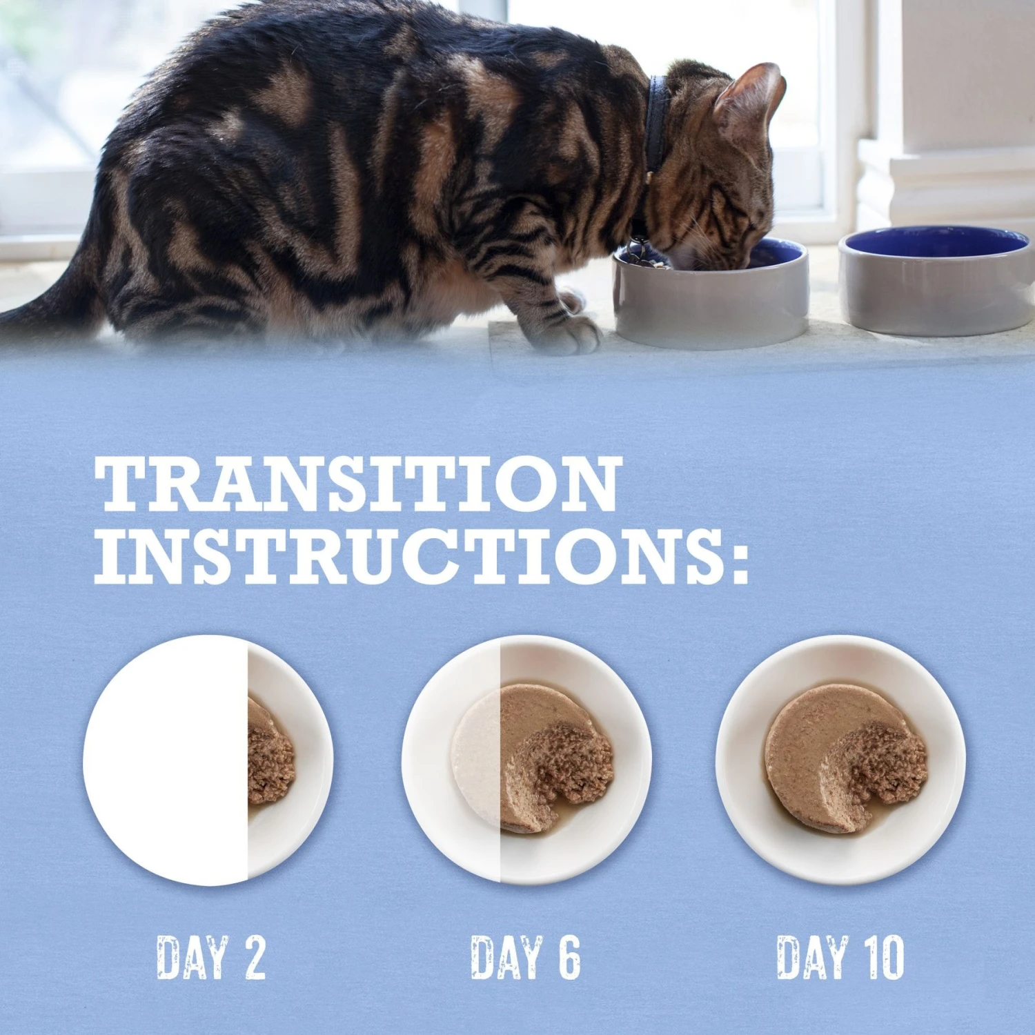 Purina Beyond Grain-Free Trout & Catfish Pate Recipe Canned Cat Food 9 Purina Beyond Grain-Free Trout & Catfish Pate Recipe Canned Cat Food - Image 9