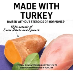 Purina Beyond Cage-Free Turkey, Sweet Potato & Spinach Recipe In Gravy Canned Cat Food -Furry Feast 112047 PT3. AC SS1800 V1699367808