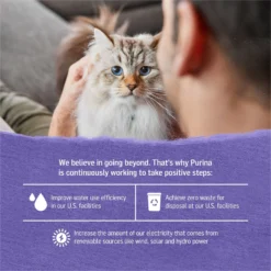 Purina Beyond Cage-Free Turkey, Sweet Potato & Spinach Recipe In Gravy Canned Cat Food -Furry Feast 112047 PT5. AC SS1800 V1700156672