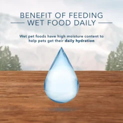 Blue Buffalo Wilderness Pate Variety Pack Duck, Chicken & Salmon Grain-Free Cat Canned Food -Furry Feast 114186 PT5. AC SS1800 V1689357020