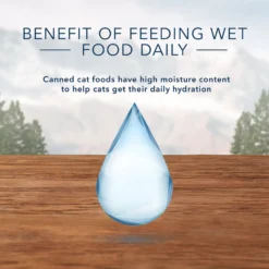 Blue Buffalo Wilderness Pate Kitten Variety Pack With Chicken & Salmon Grain-Free Cat Food -Furry Feast 114188 PT6. AC SS1800 V1601027166