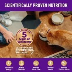 Wellness Complete Health Natural Grain-Free Deboned Chicken & Chicken Meal Dry Kitten Food -Furry Feast 114499 PT3. AC SS1800 V1636515421
