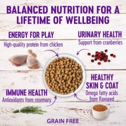 Wellness Complete Health Natural Grain-Free Deboned Chicken & Chicken Meal Dry Cat Food -Furry Feast 114504 PT2. AC SS1800 V1636554118