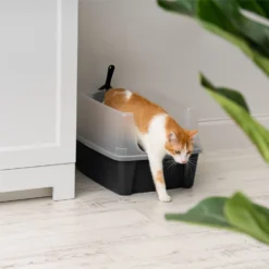 IRIS USA Open Top Litter Box With Scatter Shield & Scoop -Furry Feast 116462 PT6. AC SS1800 V1680809081