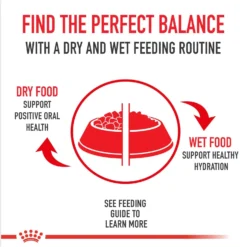 Royal Canin Feline Breed Nutrition Persian Loaf In Sauce Adult Canned Cat Food, 3-oz, Case Of 4 -Furry Feast 117979 PT2. AC SS1800 V1696614257