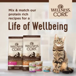 Wellness CORE Natural Grain-Free Turkey & Chicken Liver Pate Canned Kitten Food -Furry Feast 118868 PT7. AC SS1800 V1695827003