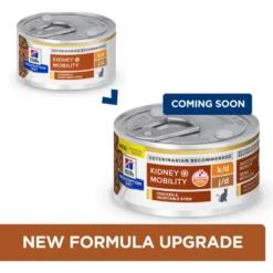 Hill's Prescription Diet K/d Kidney Care + Mobility Care With Chicken & Vegetable Stew Canned Cat Food 10 Hill's Prescription Diet K/d Kidney Care + Mobility Care With Chicken & Vegetable Stew Canned Cat Food -Furry Feast 122117 PT1. AC SS1800 V1688745861