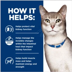 Hill's Prescription Diet K/d Kidney Care + Mobility Care With Chicken & Vegetable Stew Canned Cat Food 14 Hill's Prescription Diet K/d Kidney Care + Mobility Care With Chicken & Vegetable Stew Canned Cat Food -Furry Feast 122117 PT5. AC SS1800 V1688759905