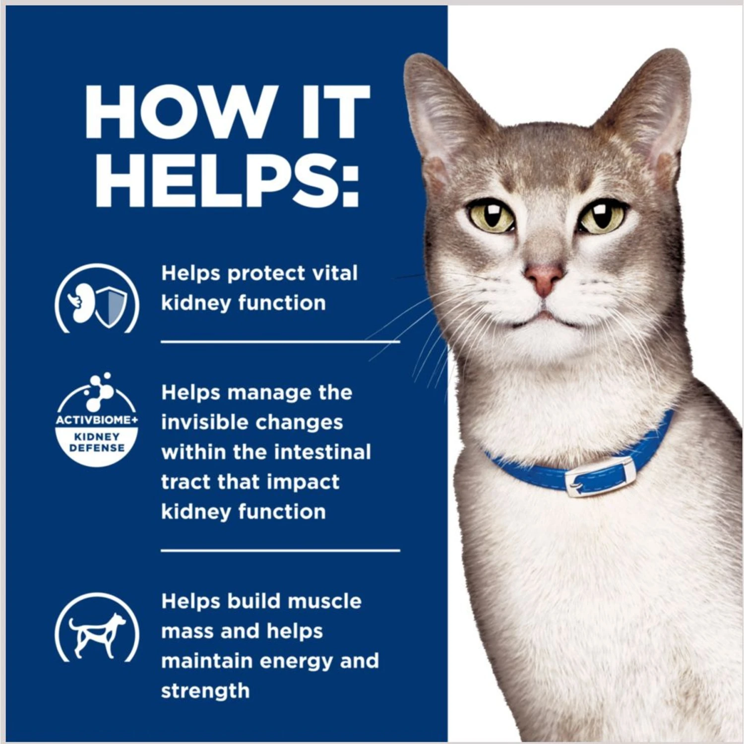 Hill's Prescription Diet K/d Kidney Care + Mobility Care With Chicken & Vegetable Stew Canned Cat Food 6 Hill's Prescription Diet K/d Kidney Care + Mobility Care With Chicken & Vegetable Stew Canned Cat Food - Image 6