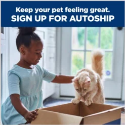 Hill's Prescription Diet K/d Kidney Care + Mobility Care With Chicken & Vegetable Stew Canned Cat Food 17 Hill's Prescription Diet K/d Kidney Care + Mobility Care With Chicken & Vegetable Stew Canned Cat Food -Furry Feast 122117 PT8. AC SS1800 V1688759109