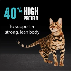 Crave With Protein From Salmon & Ocean Fish Adult Grain-Free Dry Cat Food -Furry Feast 126683 PT4. AC SS1800 V1688756927