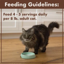 Nutro Perfect Portions Grain-Free Real Salmon & Tuna, Real Chicken & Shrimp Recipe Pate Variety Pack Adult Wet Cat Food Trays -Furry Feast 128569 PT7. AC SS1800 V1702678670