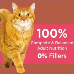 Iams ProActive Health High Protein Chicken & Salmon Recipe Dry Cat Food -Furry Feast 128630 PT4. AC SS1800 V1623287861