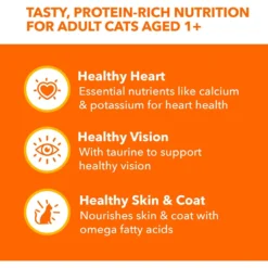 Iams Perfect Portions Healthy Adult Variety Pack Chicken & Tuna Recipe Pate Grain-Free Wet Cat Food Trays -Furry Feast 131327 PT3. AC SS1800 V1626817654