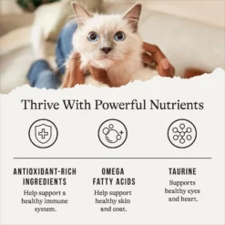 American Journey Chicken Recipe Grain-Free Dry Cat Food -Furry Feast 131578 PT4. AC SS1800 V1668737142