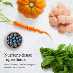 American Journey Chicken Recipe Grain-Free Dry Cat Food -Furry Feast 131578 PT5. AC SS1800 V1680787082