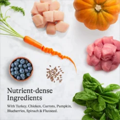 American Journey Turkey & Chicken Recipe Grain-Free Dry Cat Food -Furry Feast 131581 PT5. AC SS1800 V1680787064