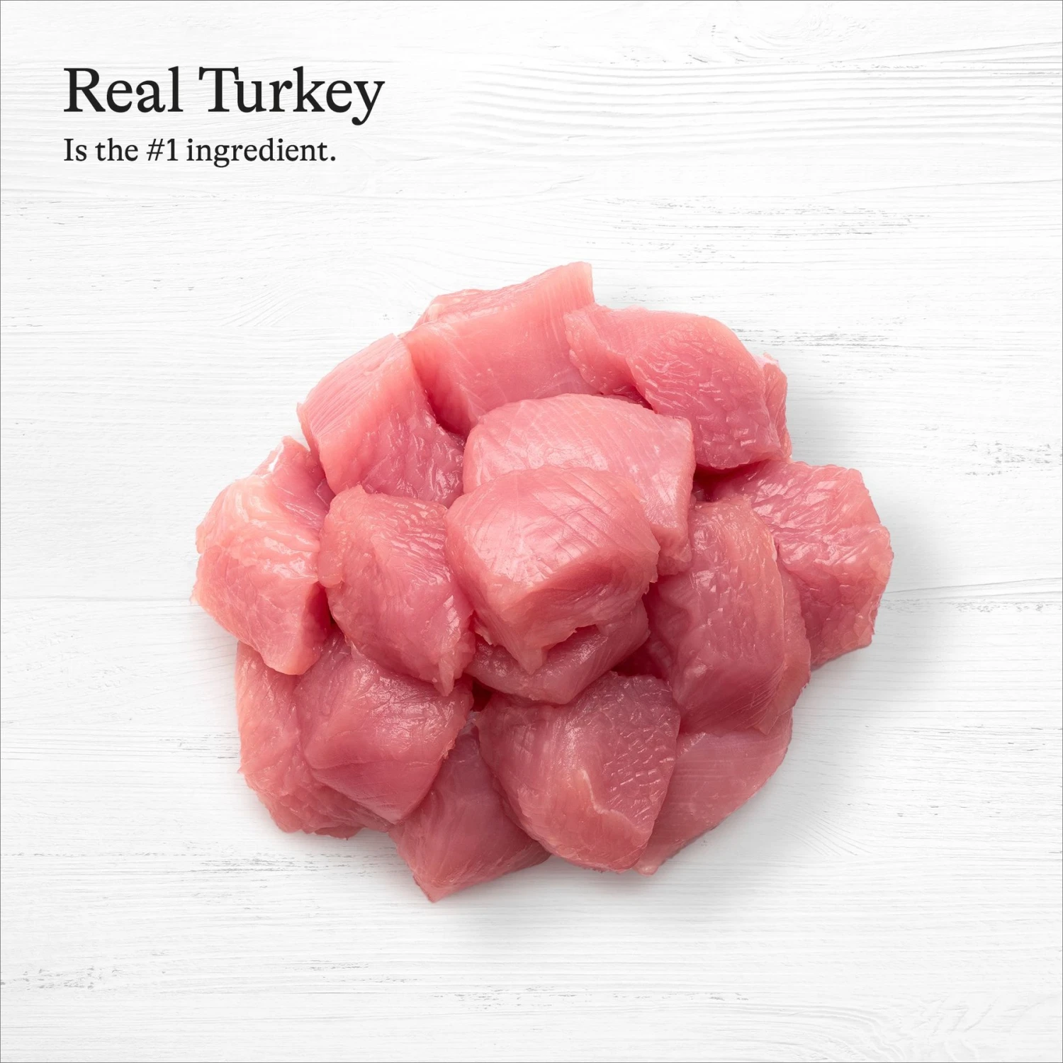 American Journey Pate Turkey Recipe Grain-Free Canned Cat Food 5 American Journey Pate Turkey Recipe Grain-Free Canned Cat Food - Image 5