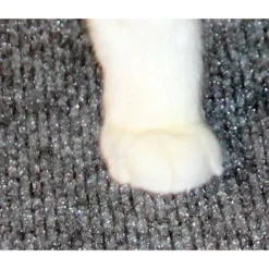 Drymate Corner Ridged Cat Litter Trapping Mat, Grey, 29.5-in X 29.5-in -Furry Feast 134952 PT7. AC SS1800 V1502744879