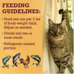 Purina Beyond Grain-Free Pate 4 Flavors Variety Pack Canned Cat Food -Furry Feast 140460 PT8. AC SS1800 V1641260842