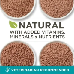 Purina ONE Grain-Free Variety Pack Natural High Protein Canned Cat Food, 3-oz, Case Of 24 -Furry Feast 140462 PT2. AC SS1800 V1657655538