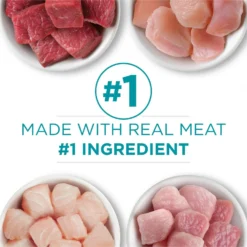 Purina ONE Grain-Free Variety Pack Natural High Protein Canned Cat Food, 3-oz, Case Of 24 -Furry Feast 140462 PT4. AC SS1800 V1657655538