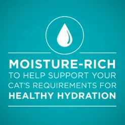 Purina ONE True Instinct 4 Flavors Variety Pack Canned Cat Food -Furry Feast 140464 PT3. AC SS1800 V1641584577