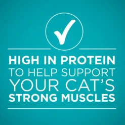 Purina ONE True Instinct 4 Flavors Variety Pack Canned Cat Food -Furry Feast 140464 PT6. AC SS1800 V1641587578