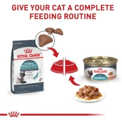 Royal Canin Hairball Care Dry Cat Food -Furry Feast 140509 PT7. AC SS1800 V1697760165