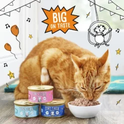 Tiny Tiger Pate Whitefish & Tuna Recipe Grain-Free Canned Cat Food -Furry Feast 141883 PT4. AC SS1800 V1687286231