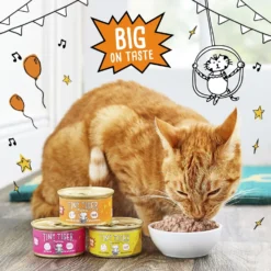 Tiny Tiger Pate Beef & Poultry Recipes Variety Pack Grain-Free Canned Cat Food -Furry Feast 141887 PT4. AC SS1800 V1687284405
