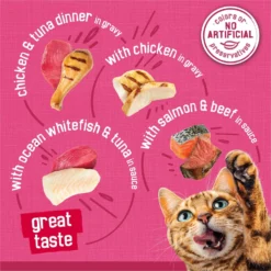 Friskies Surfin' & Turfin' Favorites Variety Pack Canned Cat Food -Furry Feast 142563 PT2. AC SS1800 V1700161305