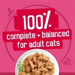 Friskies Surfin' & Turfin' Favorites Variety Pack Canned Cat Food -Furry Feast 142563 PT4. AC SS1800 V1700160938