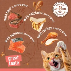 Friskies Extra Gravy Chunky Variety Pack Canned Cat Food -Furry Feast 142573 PT2. AC SS1800 V1699371079