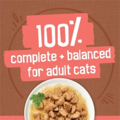 Friskies Extra Gravy Chunky Variety Pack Canned Cat Food -Furry Feast 142573 PT3. AC SS1800 V1700158393