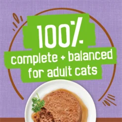 Friskies Extra Gravy Pate With Turkey In Savory Gravy Canned Cat Food -Furry Feast 142575 PT5. AC SS1800 V1700158435